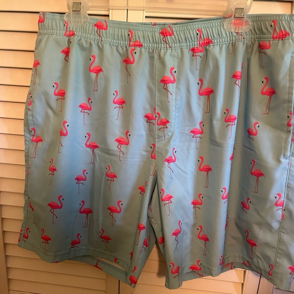 🦩 Men’s Bathing Suit Size XL - Picture 1 of 5